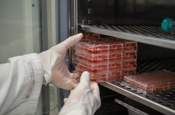 Comment mettre en place un programme d'incubation interne pour encourager l'innovation dans une entreprise de télécommunications ?