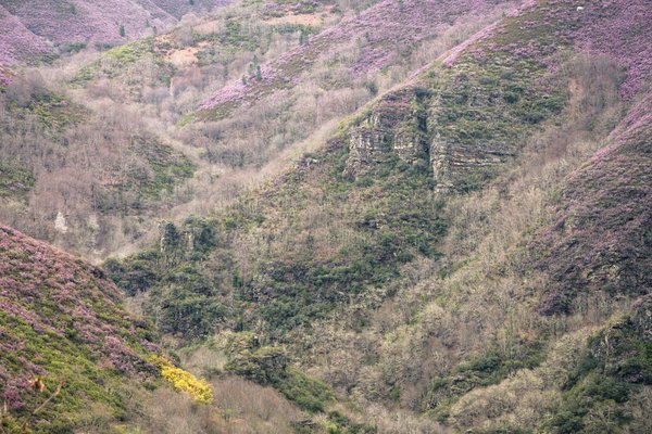 Comment élaborer un plan de relève pour les postes de direction dans une entreprise familiale?